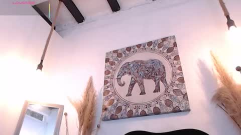 Sammy  online show from February 2026 02:37:02 PM