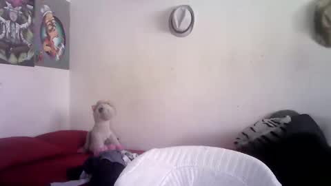 sammy_mcklain online show from March 2026 03:36:02 PM