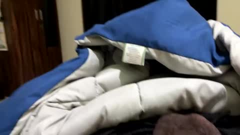 Snapshot of samnivin chatting on December 2025 07:19:02 PM samnivin online show from December 2025 07:19:02 PM