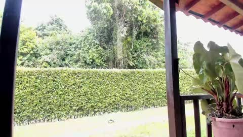 Samuel online show from December 2024 06:42:02 PM