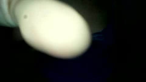 Snapshot of samuel_xlive287494 chatting on June 2026 02:14:02 AM samuel_xlive287494 online show from June 2026 02:14:02 AM