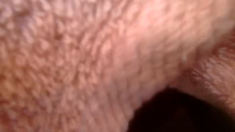 samueltal online show from February 2026 09:21:02 AM