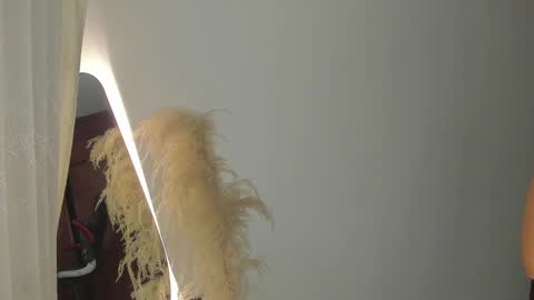 Hello I am absent due to a family calamity I will return soon-hola estoy ausente por un problema familiar volvere pronto. online show from February 2025 11:25:02 PM