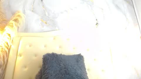 S A M A N T H A  online show from December 2025 07:53:02 PM