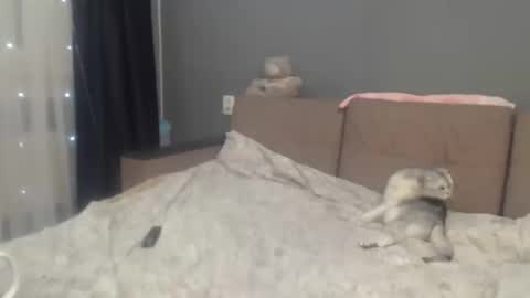 sandra_smith3007 online show from February 2026 07:06:02 PM