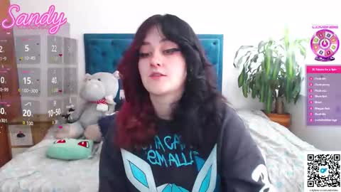 Snapshot of sandyprinss chatting on February 2026 01:54:01 PM Sandy Prinss online show from February 2026 01:54:01 PM