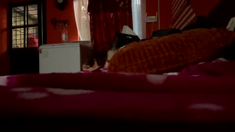 sans_976802 online show from February 2025 12:05:02 AM