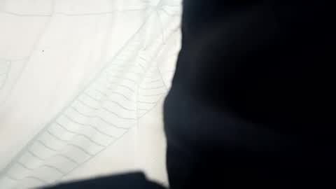 Snapshot of santhoshlees chatting on February 2025 11:06:02 AM Harder online show from February 2025 11:06:02 AM