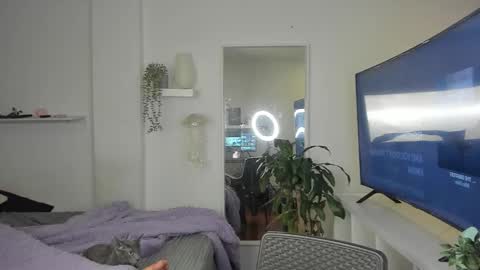 kitty online show from November 2025 12:43:02 AM