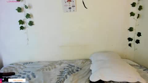 sara sofia online show from December 2024 04:09:02 AM