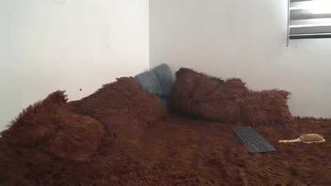 sara and thomas online show from January 2025 09:10:01 PM