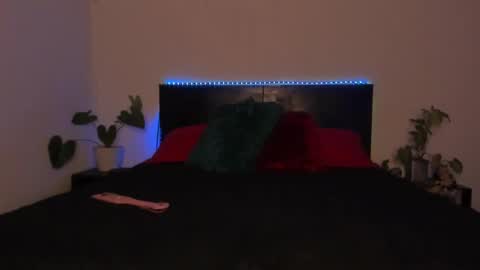 Girl next door online show from January 2025 11:53:02 PM