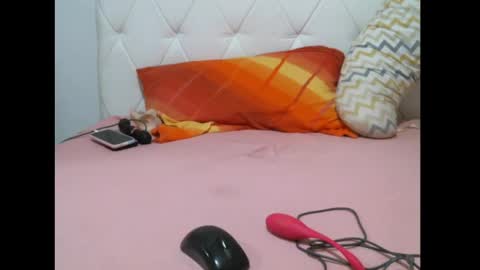 Snapshot of sarasexx33 chatting on January 2025 05:53:01 PM sarasexx33 online show from January 2025 05:53:01 PM