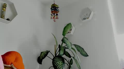 Saray  online show from February 2026 09:24:01 PM