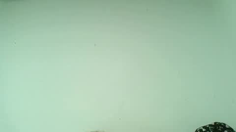 Snapshot of sarenis chatting on October 2025 03:07:02 AM Sarenis online show from October 2025 03:07:02 AM