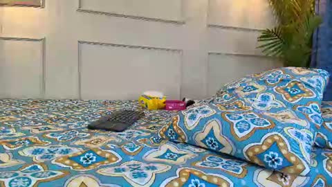 Sashavellor online show from June 2026 03:31:02 AM
