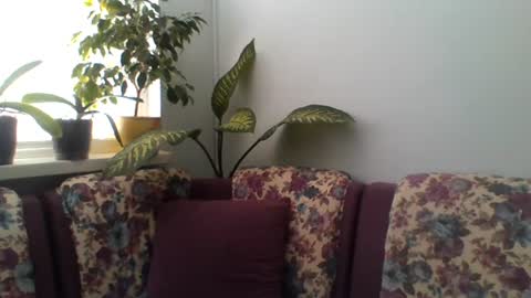 sasko877 online show from July 2026 11:28:01 AM