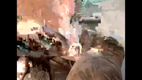 Snapshot of sassycedar chatting on March 2025 11:27:01 PM Cedar online show from March 2025 11:27:01 PM