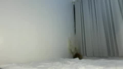 Snapshot of sassykayla chatting on May 2026 01:07:01 PM sassykayla online show from May 2026 01:07:01 PM