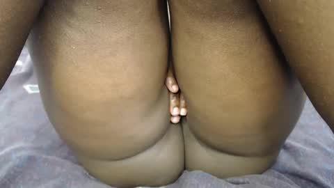 pety online show from February 2026 06:12:02 AM