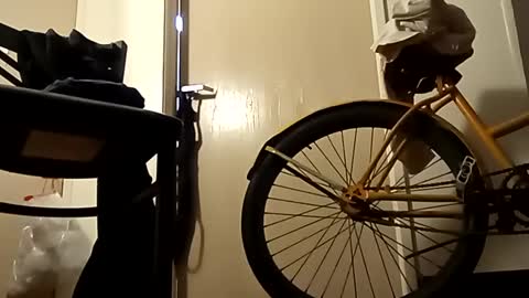 Snapshot of saucybear666 chatting on January 2025 10:58:02 AM SnowBunny online show from January 2025 10:58:02 AM