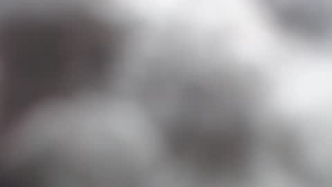 savagebarbie01 online show from November 2025 10:06:02 AM