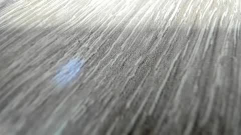 sayo_mao18 online show from March 2026 01:54:01 AM