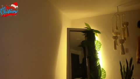 Venus online show from December 2024 06:04:02 PM