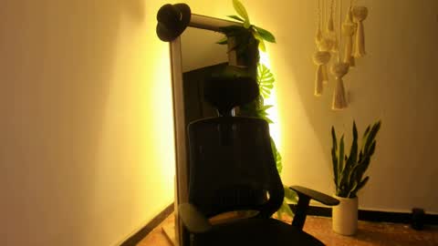 Venus online show from February 2025 02:26:01 PM