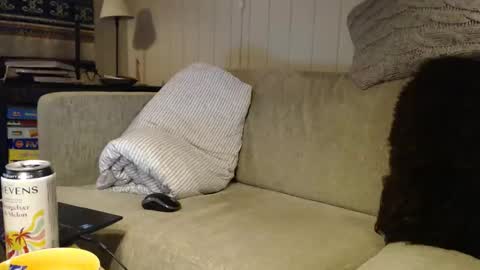 Snapshot of scandxx chatting on March 2026 12:12:01 AM Scand online show from March 2026 12:12:01 AM