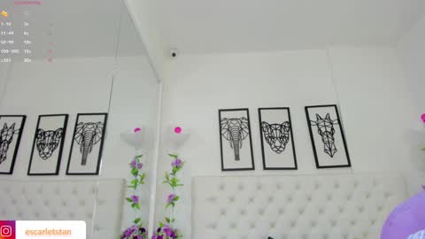 Snapshot of scarlet_stan22 chatting on December 2024 11:12:01 AM Isa online show from December 2024 11:12:01 AM