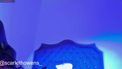    online show from December 2024 09:50:01 AM