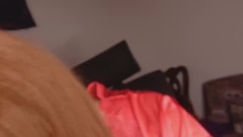 scarlet online show from February 2026 01:19:02 PM