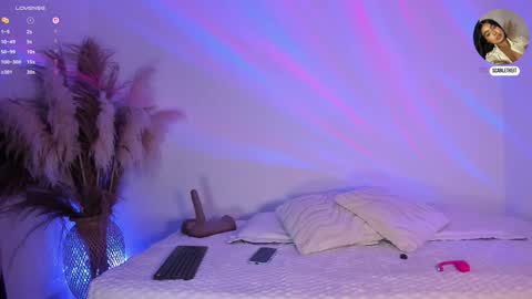 scarlet  online show from February 2026 11:03:01 AM