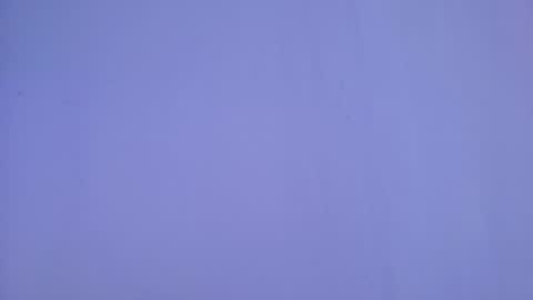  Scarlett  online show from April 2026 01:35:02 PM