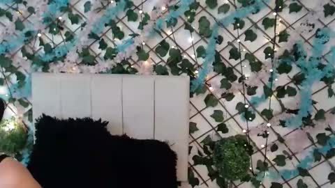 Snapshot of sccarlettjonnes chatting on January 2026 10:42:02 AM SCARLET online show from January 2026 10:42:02 AM