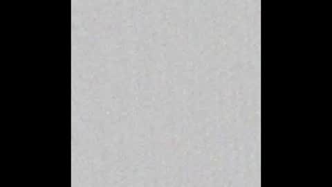 Scolw  online show from January 2026 12:00:01 PM