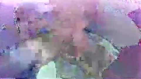 scoobydueingu69 online show from November 2025 10:08:02 AM