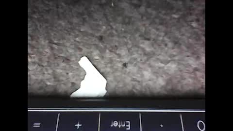 scots_repeater online show from February 2025 12:09:01 AM