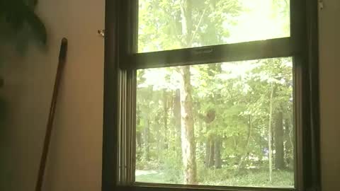 scottpbi52 online show from September 2025 04:29:02 PM