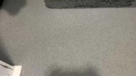 Snapshot of scottyc48 chatting on October 2025 02:04:01 PM scottyc48 online show from October 2025 02:04:01 PM