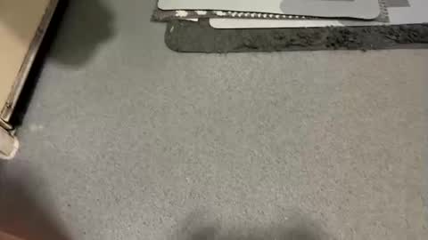 scottyc48 online show from December 2025 07:48:01 AM