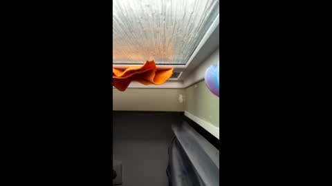 scottyc48 online show from March 2026 12:38:01 PM