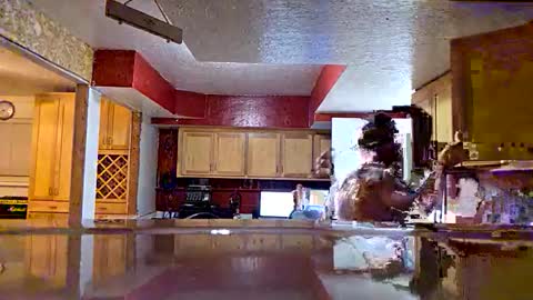 screwnutandbolte online show from December 2025 10:35:01 AM