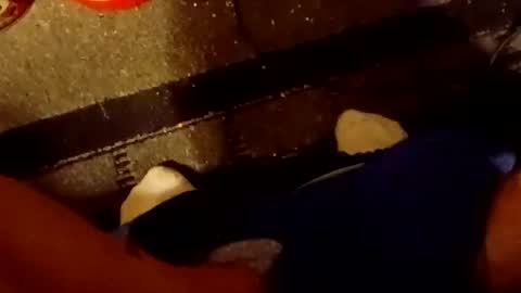 Snapshot of scruples99273286 chatting on October 2025 08:34:02 AM scruples99273286 online show from October 2025 08:34:02 AM