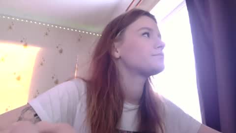 sdddisk online show from December 2024 11:55:02 AM