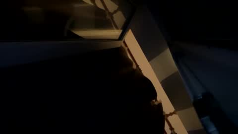 sdddisk online show from January 2025 07:45:01 PM