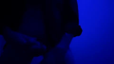 Snapshot of seanlydo chatting on October 2025 05:40:01 AM SeanWadGodDamn online show from October 2025 05:40:01 AM