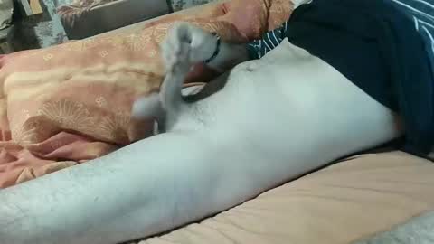 seb online show from February 2025 08:14:02 PM