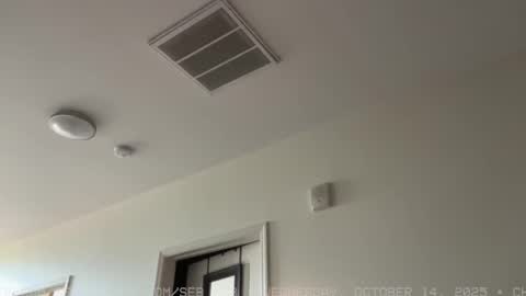 Sebastian online show from October 2025 06:08:01 PM